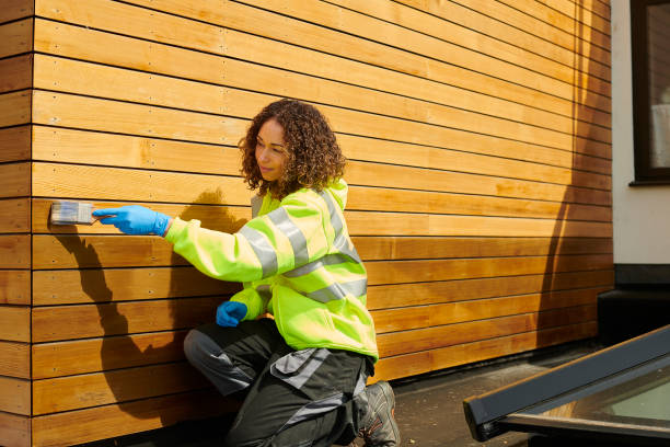 Affordable Siding Repair and Maintenance Services in Layton, UT